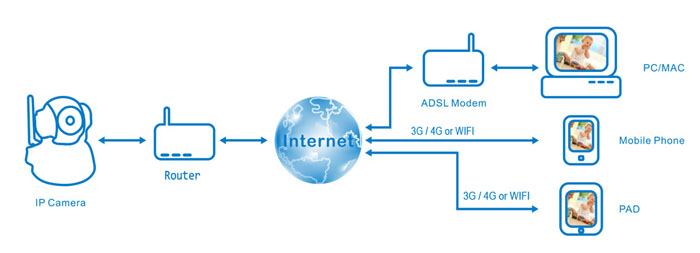 IP cameras