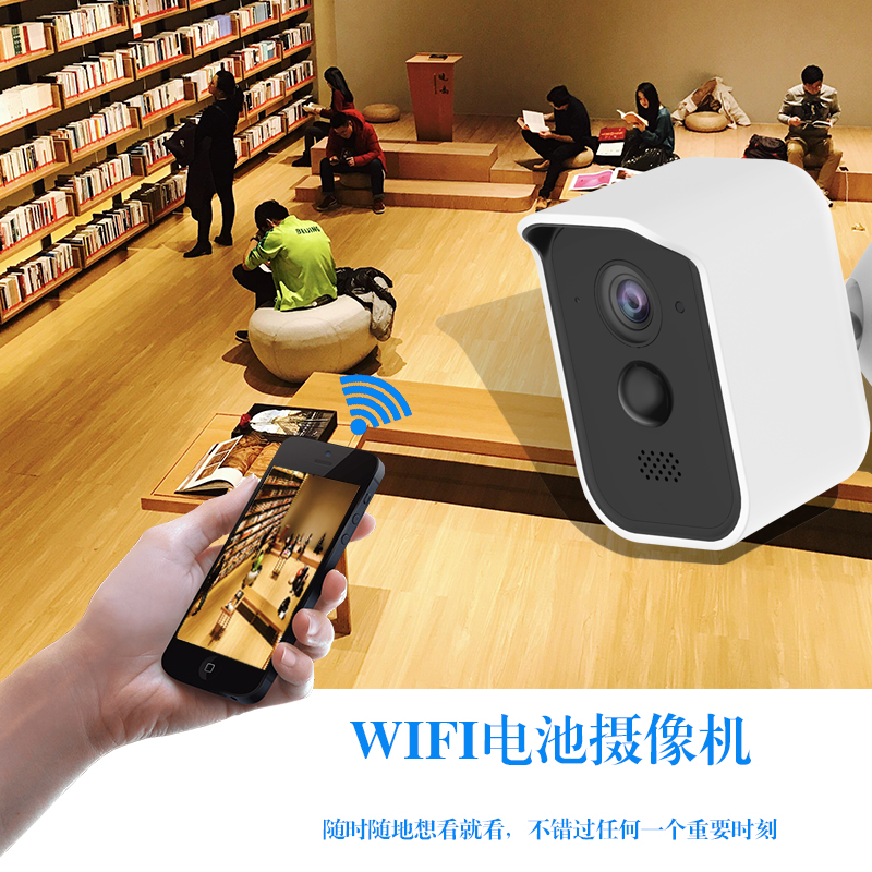 IP camera