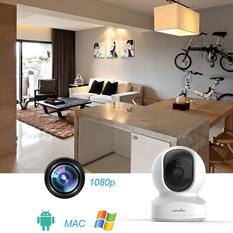 IP cameras