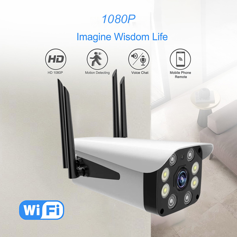 IP camera 