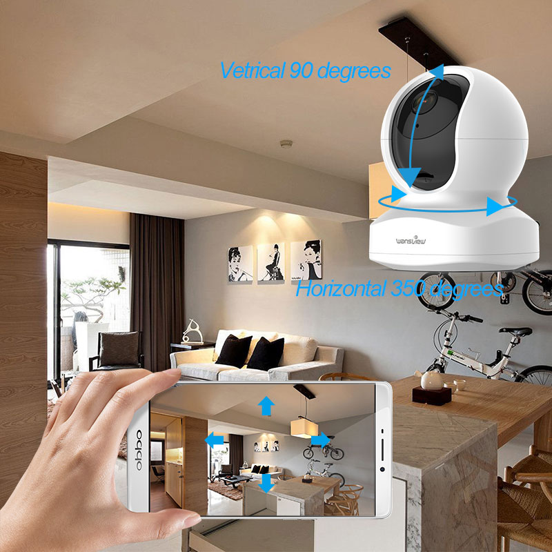 IP camera 