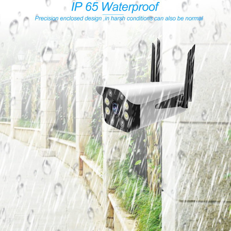 IP cameras