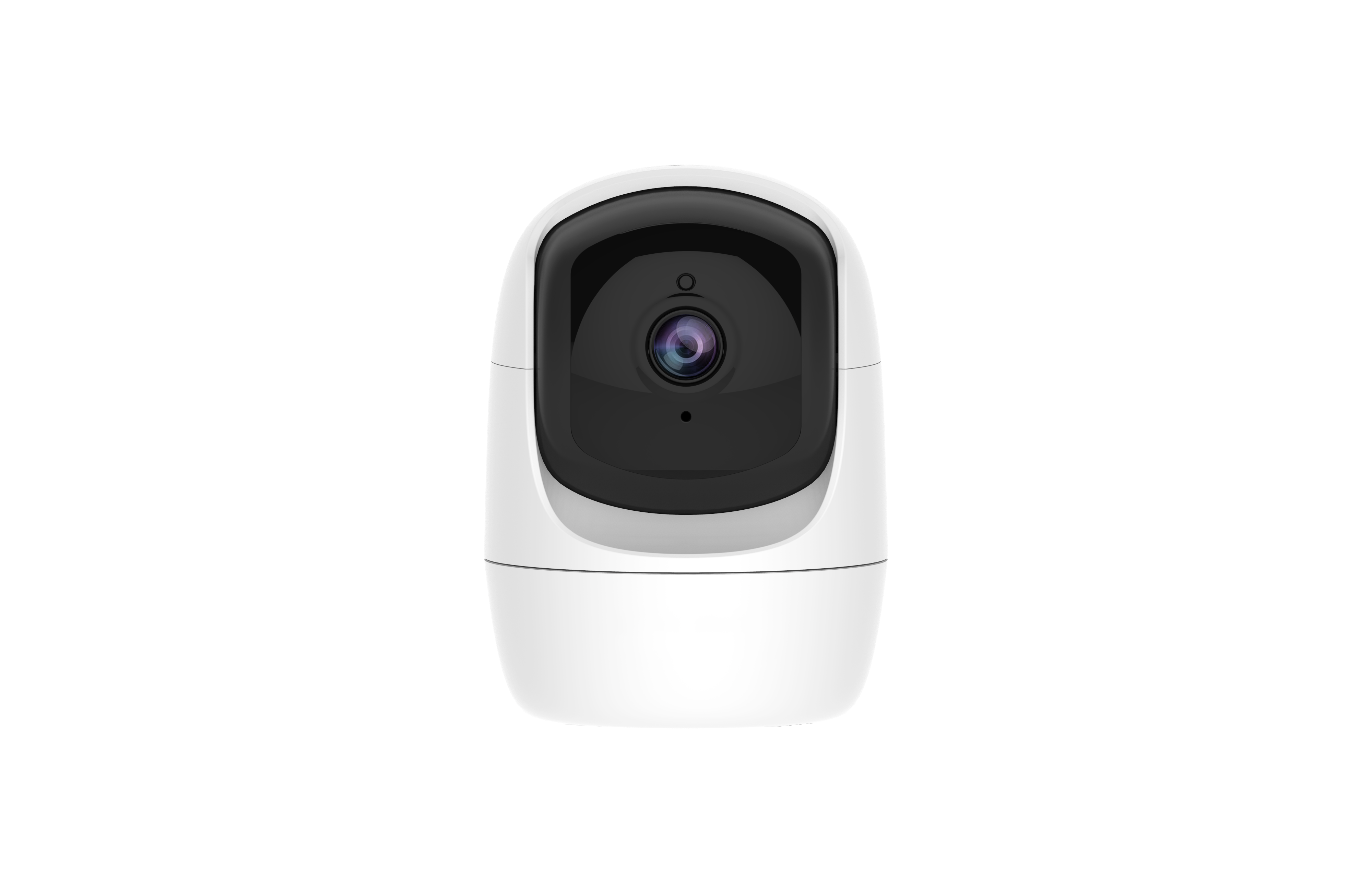 network camera