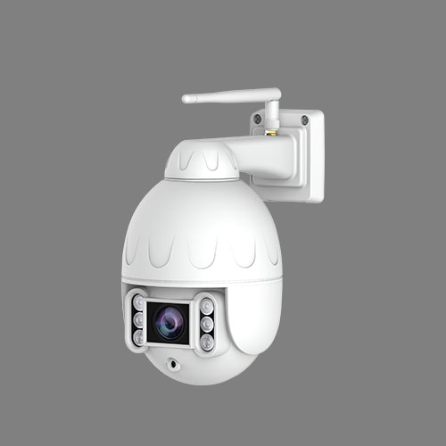 Smarteye Dome IP Camera 791JA