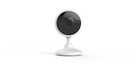 A surveillance camera suitable for installation in the livin