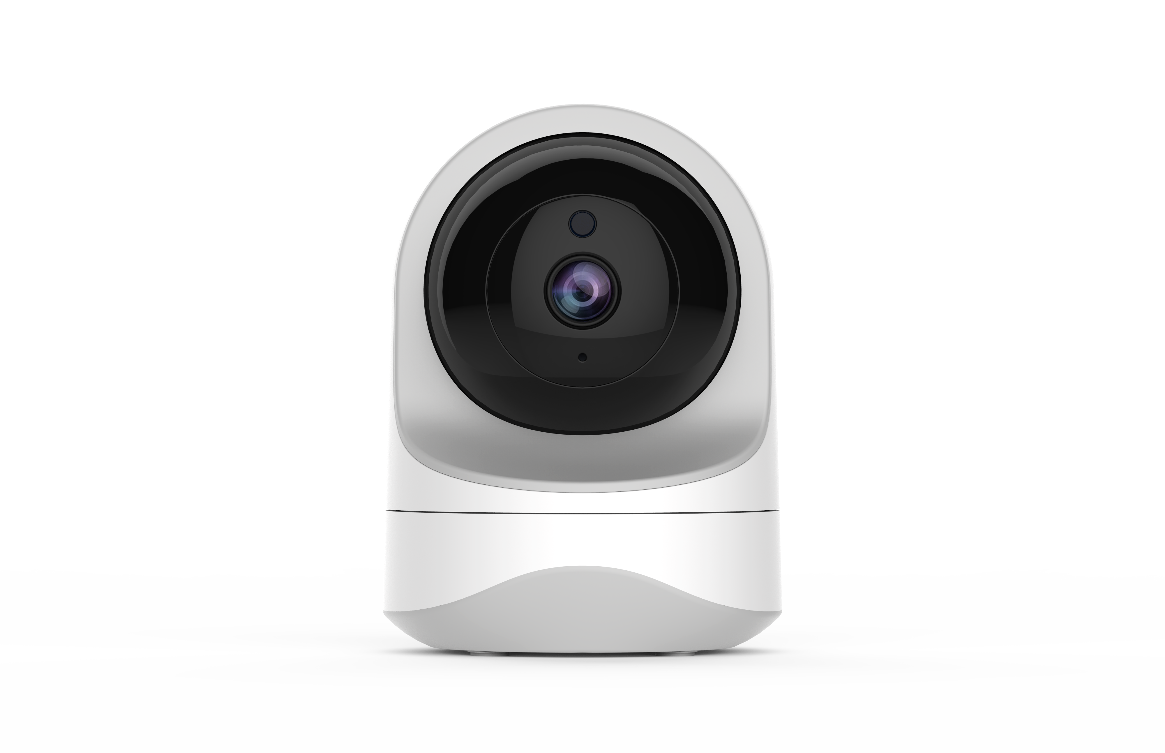 Pan-head surveillance camera